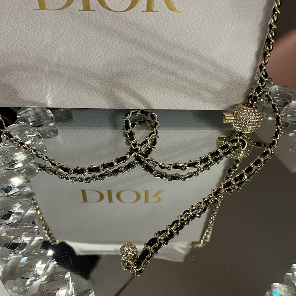 Dior Pouch with Adjustable Chain Strap - Picture 7 of 10